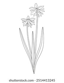 Ramo de dos flores de gota de nieve con hojas. Manojo de plantas silvestres en flor. Arte lineal, estilo minimalista, contorno. Elementos botánicos dibujados a mano para proyectos de diseño. Ilustración vectorial