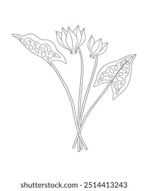 Ramo de dos flores de sembradío con hojas. Manojo de plantas silvestres perennes en flor. Arte lineal, estilo minimalista, contorno. Elementos botánicos dibujados a mano para proyectos de diseño. Ilustración vectorial