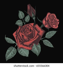 Bouquet of vector roses isolated on black