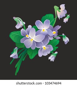 "Bouquet of violets on a black background"