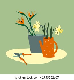 Bouquet in watering can. Strelitzia and narcissus flowers. Flat vecor illustration.
