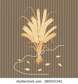 A bouquet of wheat ears - sprinkled grain, simple rope - vector. Autumn holidays