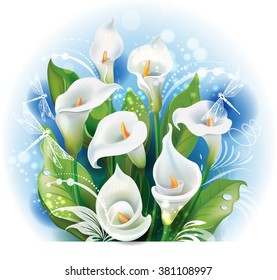 Bouquet of White Calla lilies