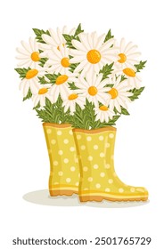 Bouquet of white chamomile flowers in yellow rain boots. Spring composition for Women's Day, Mother's Day, Valentine's Day and other holidays. Spring floral design isolated vector illustration.