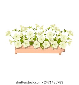 Bouquet of white flowers petunia, buds and green leaves in the box. Isolated on white background. Floral composition for garden, flower shops,web design. Vector stock illustration.