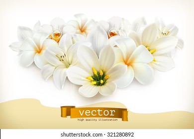 Bouquet of white flowers, vector illustration