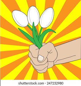 bouquet white tulips