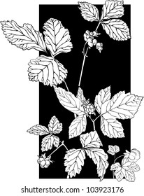 A bouquet of wild berries