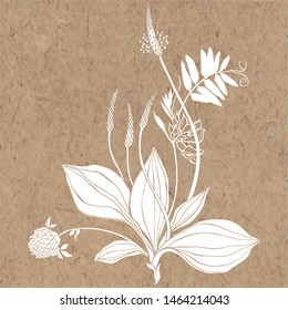 A bouquet of wild flowers and herbs. Summer background on kraft paper. Vector illustration.  Isolated element for design. Silhouette.
