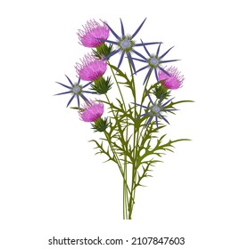 A bouquet of wild flowers. Vector stock illustration. Wild herbs. Thistle, milk thistle. Isolated on a white background.