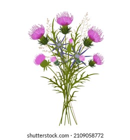 A bouquet of wild flowers. Vector stock illustration. Wild herbs. Thistle, milk thistle. Isolated on a white background.