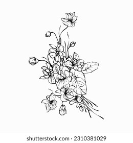 Bouquet of wild violets hand drawn line art monochrome