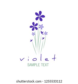 Bouquet of wild violets isolated on white background.