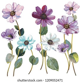 Bouquet of wildflower aster in a watercolor style, isolated on white. Cosmos flowers collection