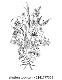 bouquet of wildflower, pencil drawing, vector