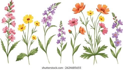 Buquê de flores silvestres e folhas, fundo de prado de verão para design
