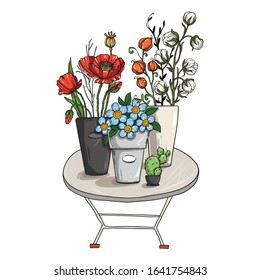 Bouquet of wildflowers. Poppies, cotton fllowers, forget-me-not and physalis. Vector illustration