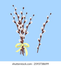 A bouquet of willow branches tied with a yellow ribbon and one willow branch isolated on a blue background.Vector illustration for Easter, spring designs.
