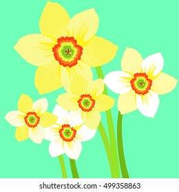 bouquet of yellow daffodil flower vector illustration