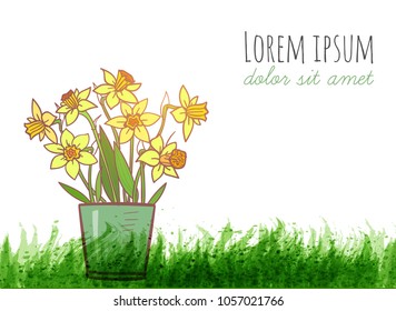 Bouquet of yellow daffodiles and green grass