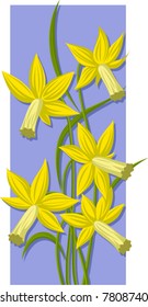 Bouquet of yellow daffodils - Narcissus cyclamineus