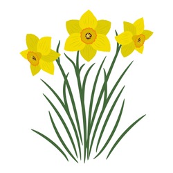 Bouquet Of Yellow Daffodils On A White Background. It Can Be Used As An Design Element In Projects And Compositions. Vector Illustration