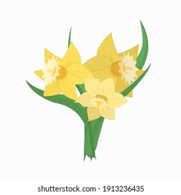bouquet of yellow daffodils on a white background, spring illustration