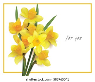 bouquet of yellow daffodils on a white background. Photorealistic vector. for you svg