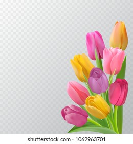 Bouquet of yellow, lilac and pink tulips on the right of the card. Colorful photo-realistic vector spring flowers on a transparent background.