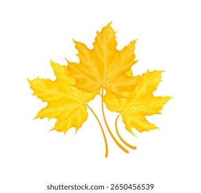 Ramo de hojas de arce amarillo. Ilustración plana de dibujos animados de Vector. Hoja que cae del otoño.