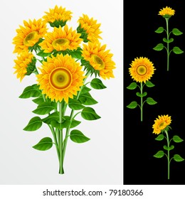 Bouquet from yellow sunflowers  on a white background