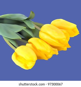 bouquet of yellow tulips on blue background