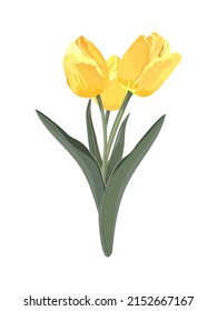 Bouquet of yellow tulips. Vector stock illustration eps10.
