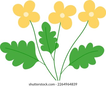 Bouquet yellow wildflowers vector illustration
