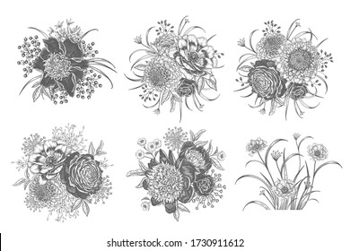 Bouquets of beautiful garden flowers set. Peonies, roses, leaves, herbs and decorative plants. Vintage. Vector illustration. Black and white. Luxury decor for fashion design, advertising, wedding them