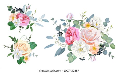 Pink Magenta Garden Rosecoral Juliet Roseorange Stock Vector (royalty 