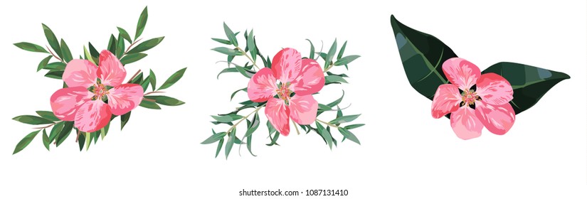bouquets of flowers set

