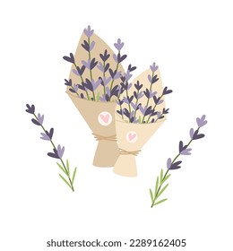 Bouquets of hand drawn lavender flowers. Vector illustration. Simple flat style.