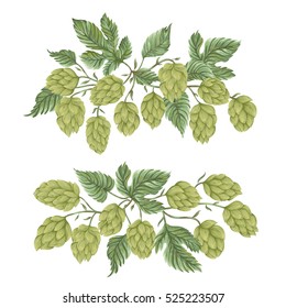 Bouquets with hops. Floral composition with hop cones, leaves and branches. Isolated elements. Vintage hand drawn illustration in watercolor style.