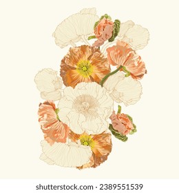 Bouquets of orange colorful and beige line poppy flowers isolated on a white background. 