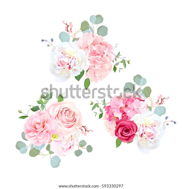 玫瑰 牡丹 山茶花 绣球花和桉树的花束 优雅的矢量花卉设计 粉红色 白色和红色的婚礼花朵和细腻的叶子 所有元素都是隔离和可编辑的库存矢量图 免版税
