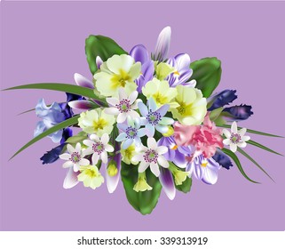 Bouquets of spring forest flowers for design of postcards, flyers, business cards, crocuses, primroses, anemones,Vector.