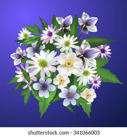 Bouquets of spring forest flowers for design of postcards, flyers, business cards, crocuses, primroses, anemones.Vector