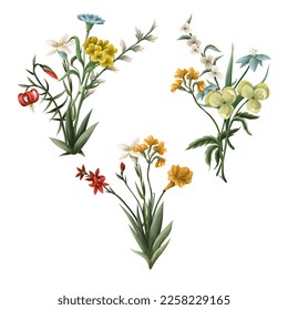 Bouquets con flores de prado fino. Vector
