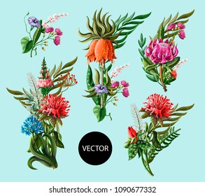 Bouquets with tropical flowers and palm leaves. Vector illustration.
