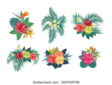 Bouquets with tropical plants. Set with palm leaves, hibiscus, strelitzia, plumeria. Vector illustration. Design for invitation, prints, cards. 
