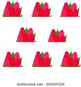 bouquets of tulips in rows