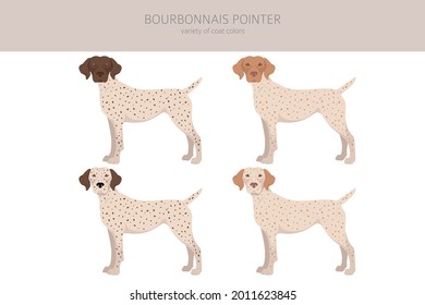 Puntero de Bourbonnais clipart. Colores y poses diferentes.  Ilustración del vector