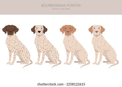 Puntero de Bourbonnais clipart. Colores y poses diferentes.  Ilustración del vector