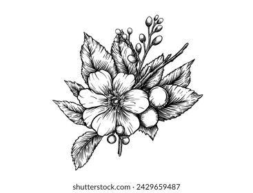 Boutonniere of wild rose flowers and berries Clip art, set of elements for design Graphic drawing, engraving style. Vector illustration. In botanical style